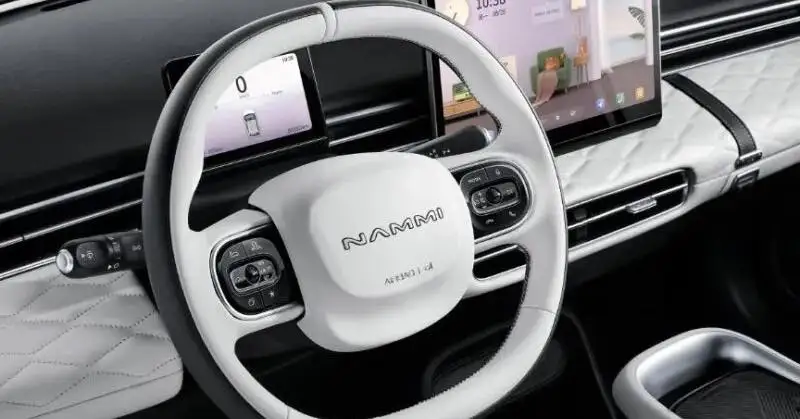 Famous Brand Factory Direct Pure Electric Popular Passenger Car