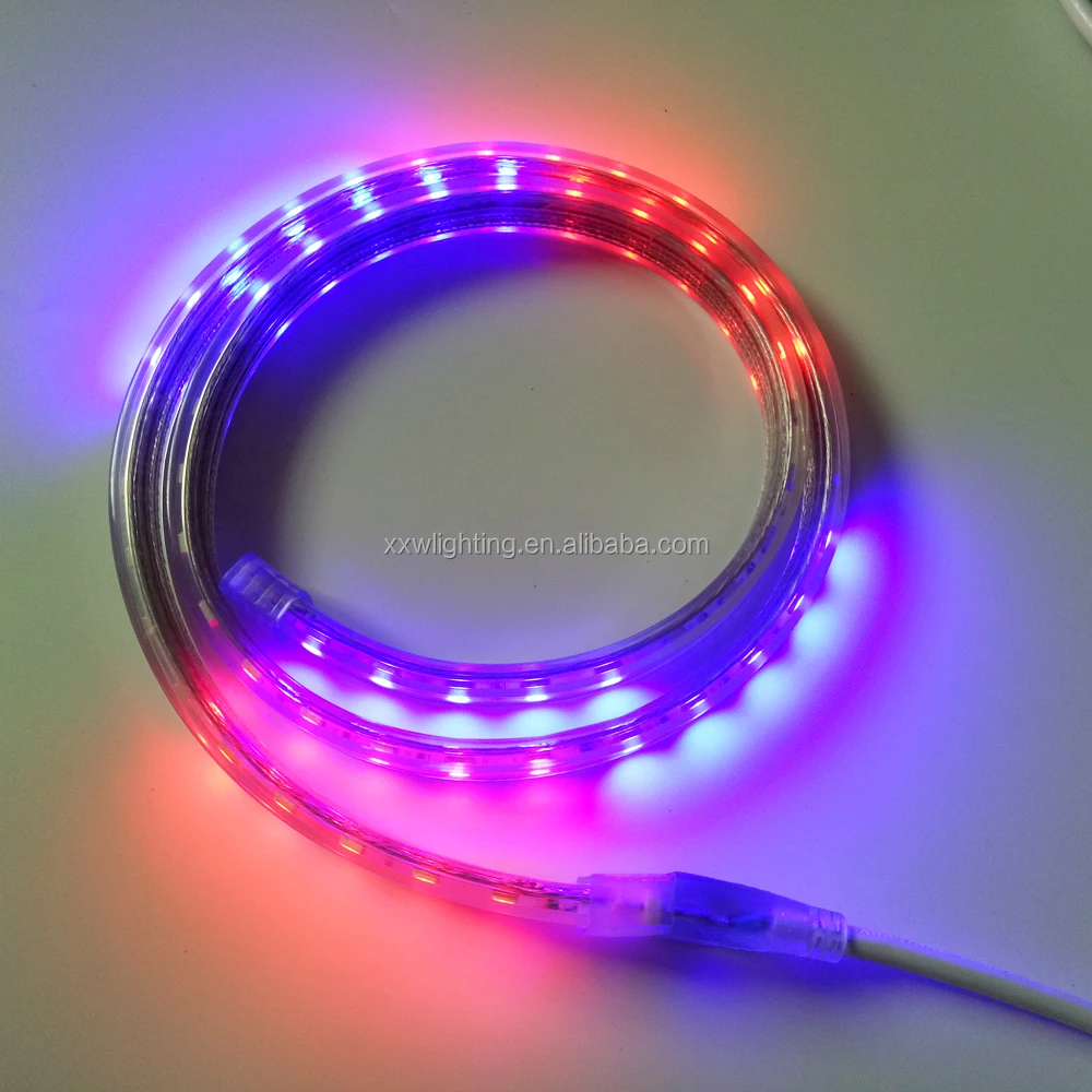 Hot sale 5050 RGB 220V 100m/roll chasing running flashing color change led strip light