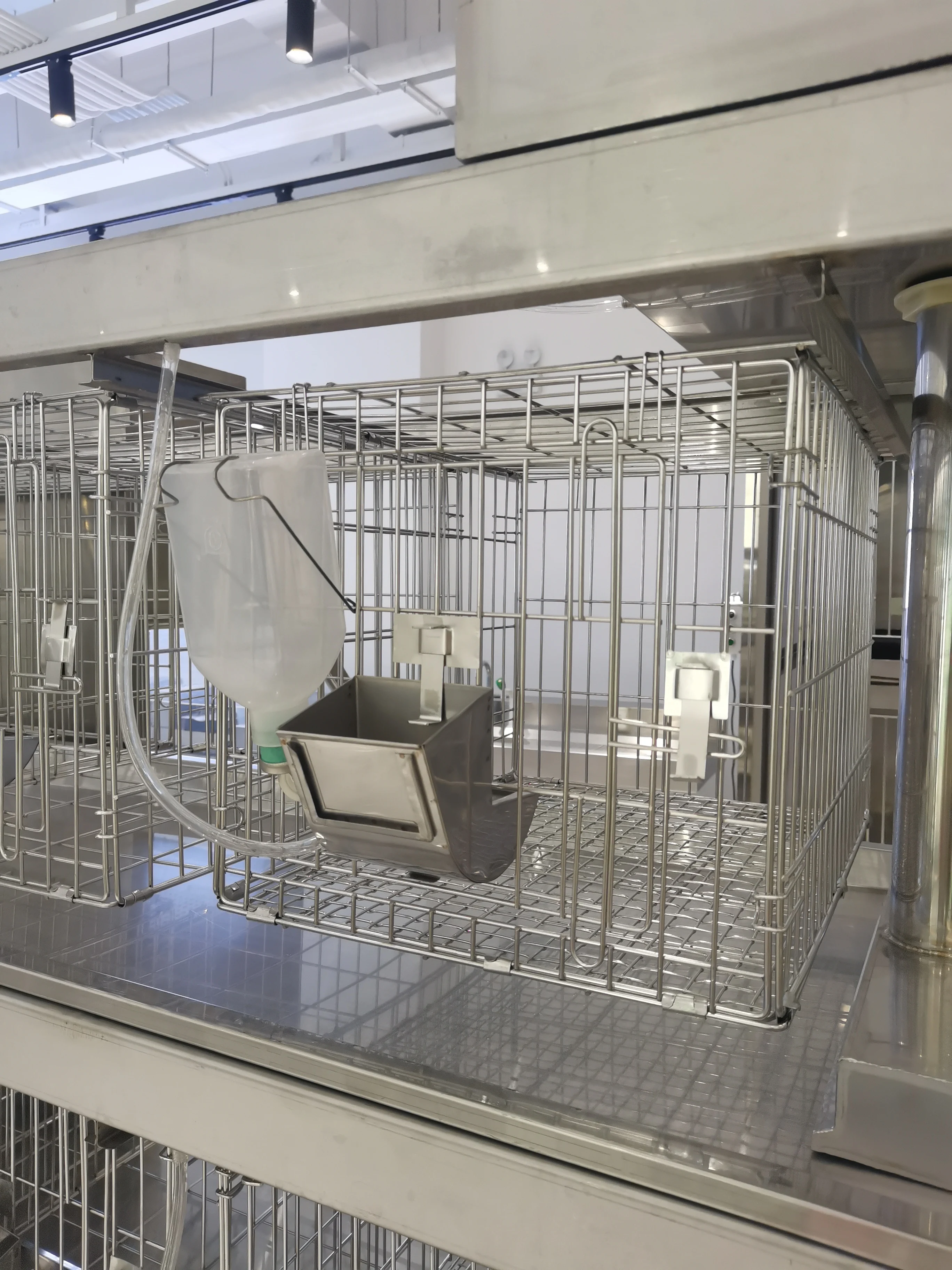 Wholesale Metal Wire Laboratory Rabbit Cages Commercial Stainless Steel Rabbit Breeding Cage for Lab