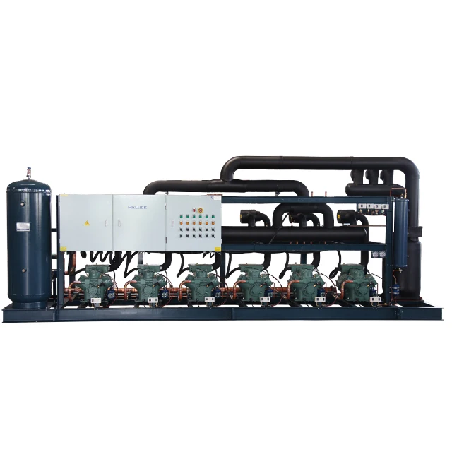 High Quality low temperature Screw 2 Compressors Racks Air Cooled Condensing Unit