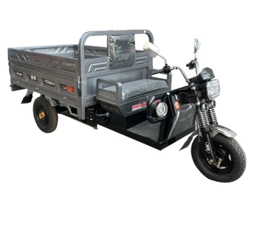 China Maximum Loaded Safely and Popular Electric Tricycle Loading Capacity Electric Tricycle for Cargo