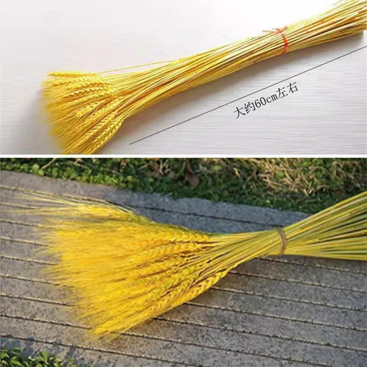 Hot Selling High Quality Natural Dried Wheat Grain Stalks Flowers For Wedding Home Kitchen Table Craft Decoration
