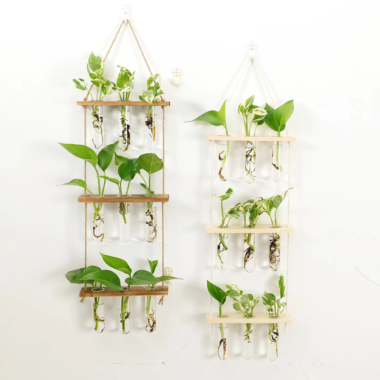 Wall Hanging Glass Planter Propagation Station Retro Flower Bud Glass Test Tube Vase in Wood Stand Tabletop Terrarium