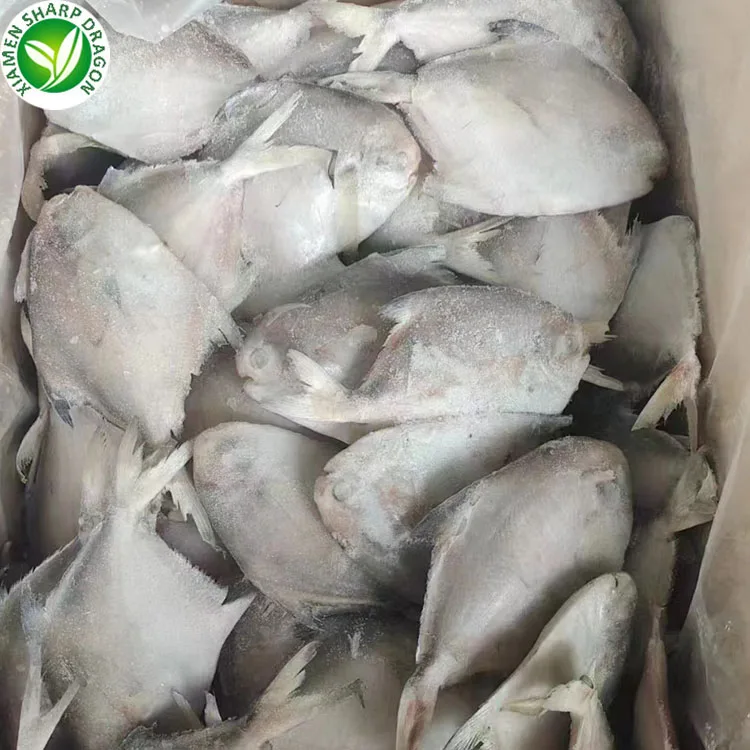 Frozen Fish Chinese Seafoods Fish Pomfret