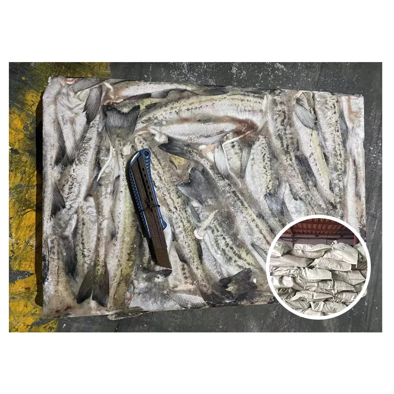 BQF Alaska Pollock Headed Gutted Pollock Fillet from Russian Origin