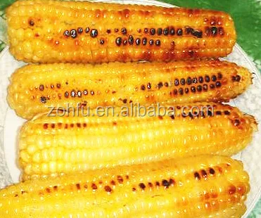 High Quality corn roaster for sale/sweet corn roaster machine/small corn roasting machine for sale