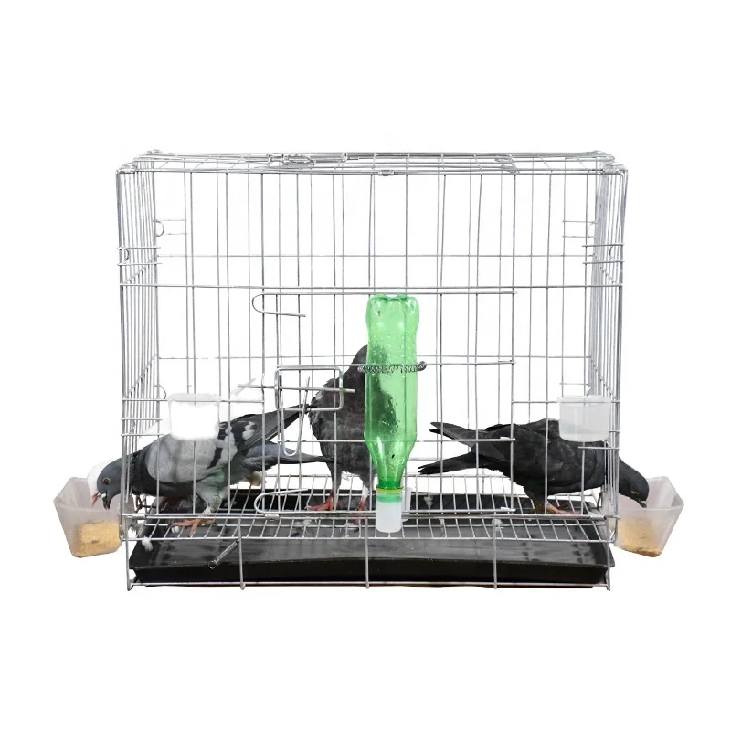 best selling products 2022 amazon Collapsible pigeon cages breeding pigeon food breeder cage for pigeon
