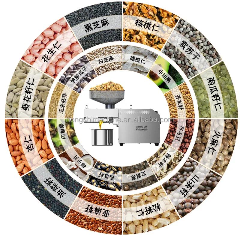 Mini Olive Oil Extraction Machine Cold pressed olive oil machine manufacturer for small business Best Organic olive oil machine