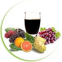 noni compound fruit juice1