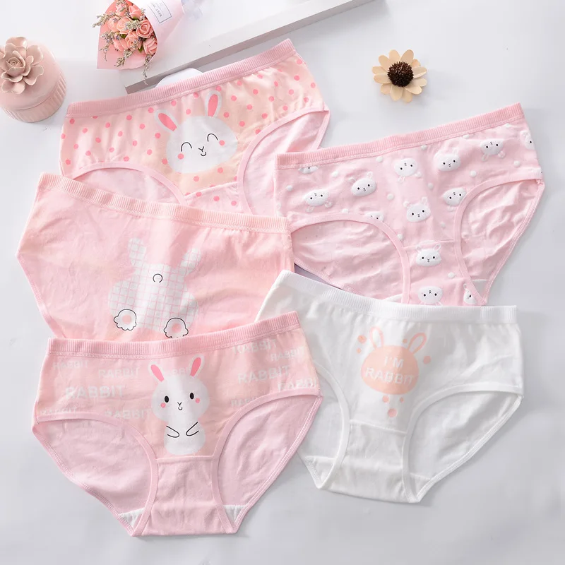 
Hot sale New 4pcs Teenage Panties Rabbit Underpants Young Girl Briefs Comfortable Cotton Pink Panties 