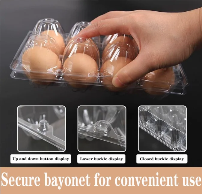 Plastic Clear Egg Carton for 8 Eggs, 20packs Egg Tray Reusable Medium Size Egg Cartons Perfect, Clear Empty Chicken