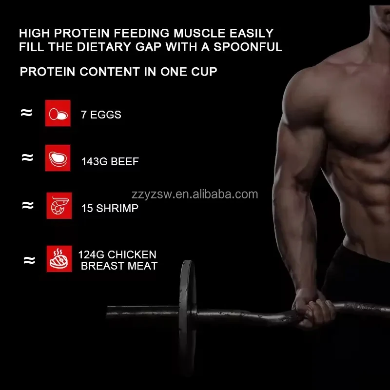 Optimum Nutrition Whey Protein Powder Mass Gainer Pre-Workout Supplement Increase Maintain Adult Gym Muscle Helps Repair Muscle