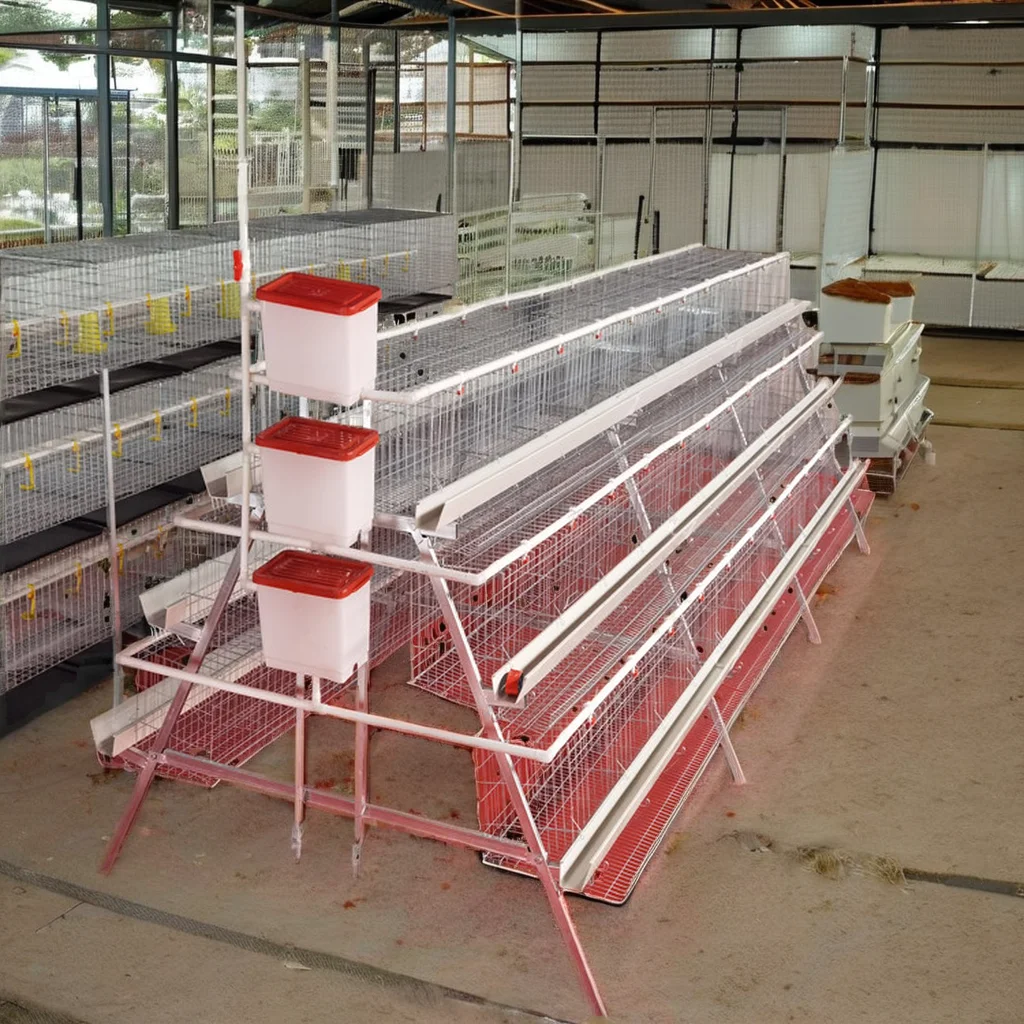 4 Tiers Chicken Egg Layer Battery Cage For Tanzania Poultry Farm