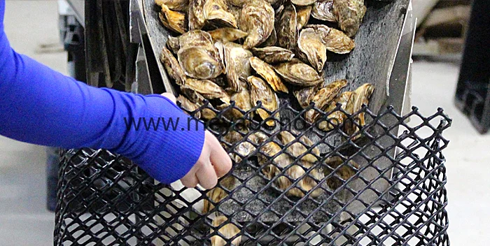 Контейнер для морепродуктов сельскохозяйственное оборудование устриц продажа
