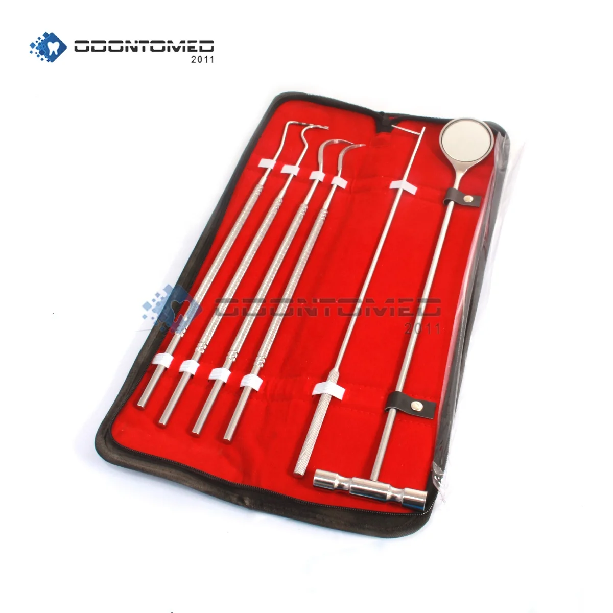 Equine Tools Periodontal Instruments Kit Stainless Steel Dental Instruments