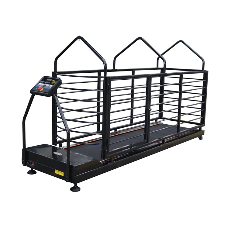 Best price vet hospital dog exercise cheap dog treadmill walking machine