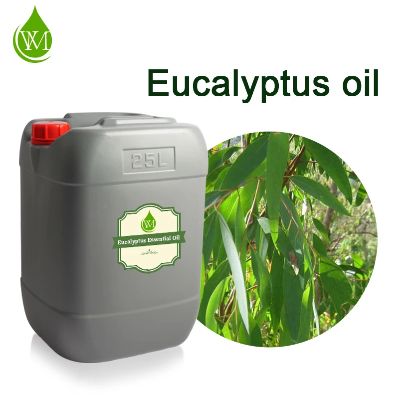 Wholesale Price Eucalyptus Essential Oil New for Cosmetics/massage Eucalyptus Oil Pure Skin Care Product Breast Firming Products
