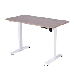 Low Noise Workstation Furniture Electric Height Adjustable Computer Luxury Office Desk