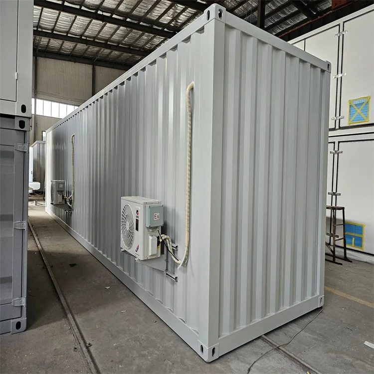 Factory Direct Sale Various Customized And No-Standard Storage High Cube Shipping Special Equipment Container For Dry Goods