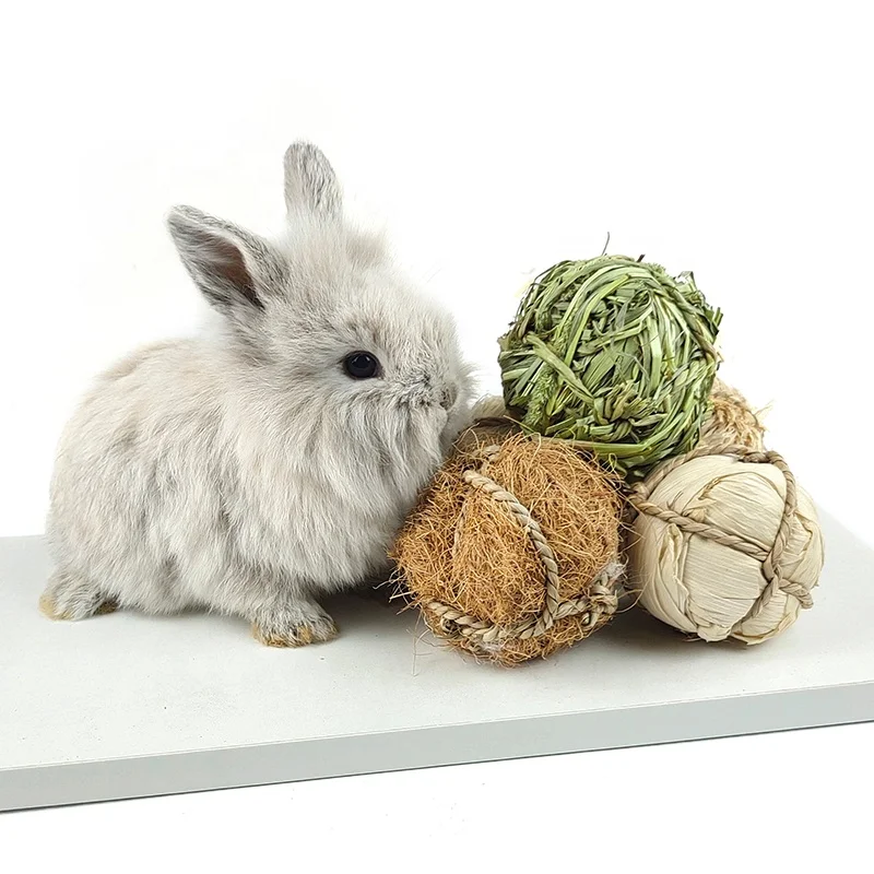 5Pcs Rabbit Chew Toys for Treat and TeethNatural Grass Willow Balls for Bunny, Rabbit, Hamster, Guinea Pig Pet Supplies.