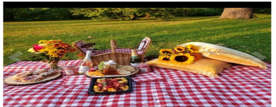 Оптовая продажа, складное одеяло для пляжа и пикника с индивидуальным логотипом BSCI