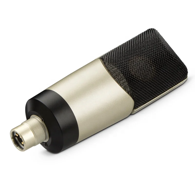 Hot sale large diaphragm condenser microphone studio mic