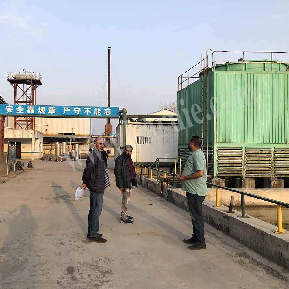 20 TPD waste oil to biodiesel transesterification machine animal fat biodiesel equipment