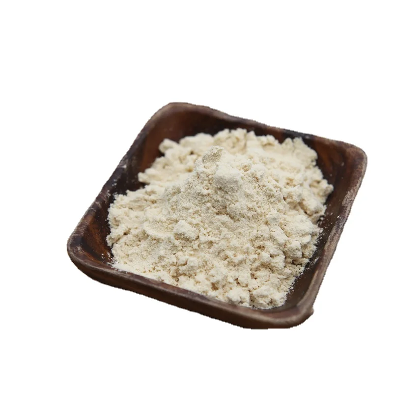 Wholesale Professional Manufacture Organic Protein Isolate Powder