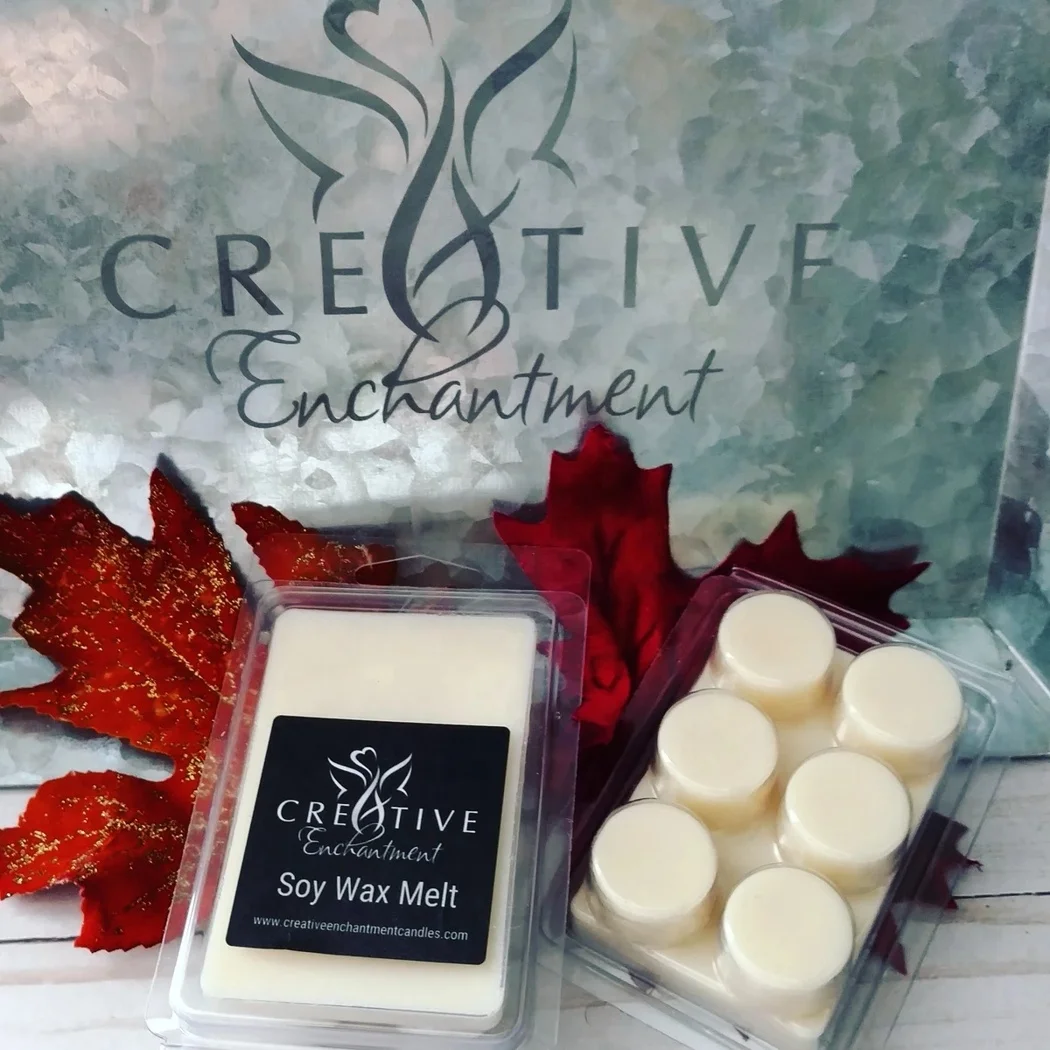 
2021 New Design Creative On Sale 24 Cavity Candle Packaging Plastic clamshell Box Wax Tart Melt Clamshell Mold 