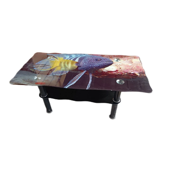Wholesale Nordic Style Luxury Black Metal Frame Coffee Table elegant Home Tea Tables Tempered Glass table