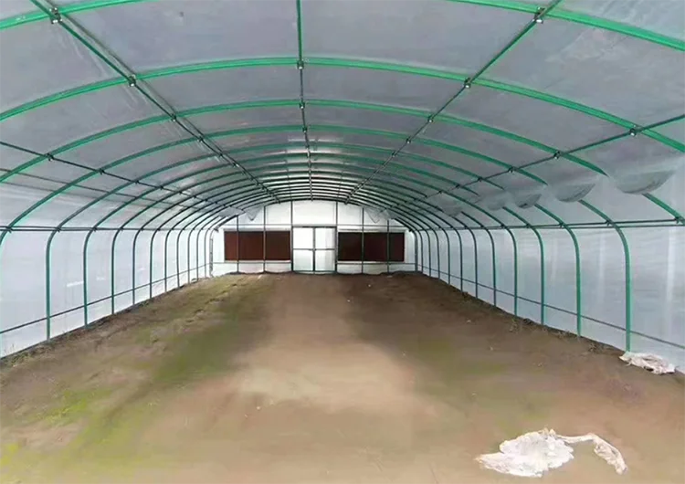 low cost prefabricate steel structure piggery  business plan design pig farm house