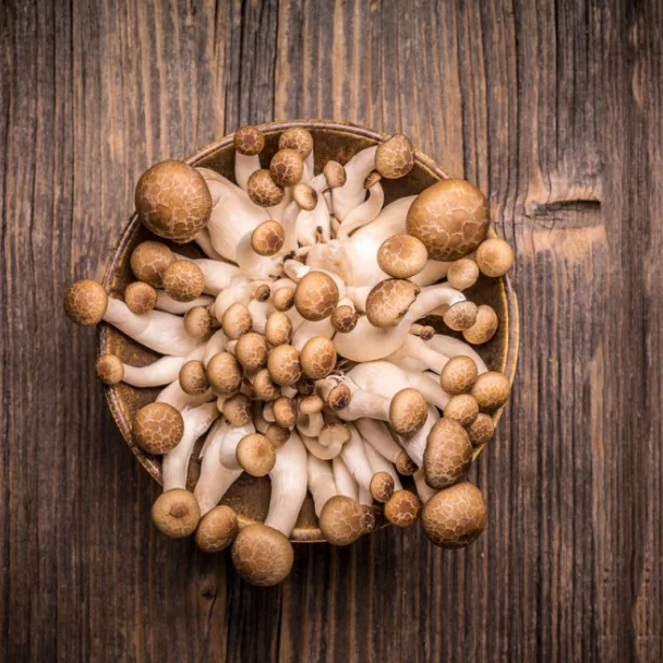 
Edible Mushrooms China Brown Clamshell Mushroom Beech Tree Mushrooms 