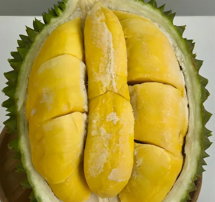 Natural 100% King Fruit Fresh Durian Monthong Durian Yellow Flesh Fresh Durian Tropical Fruit Best Price