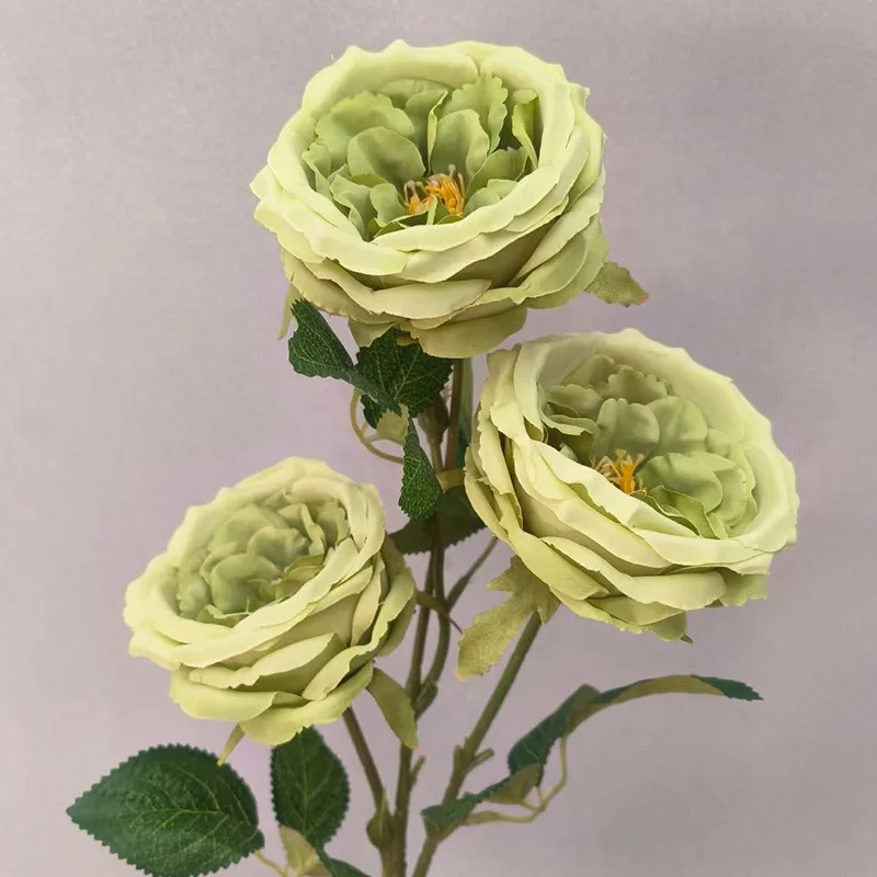 EG-G924 Wholesale High Quality  Austin Rose Artificial Rose Decorative Flower For Home Decoration