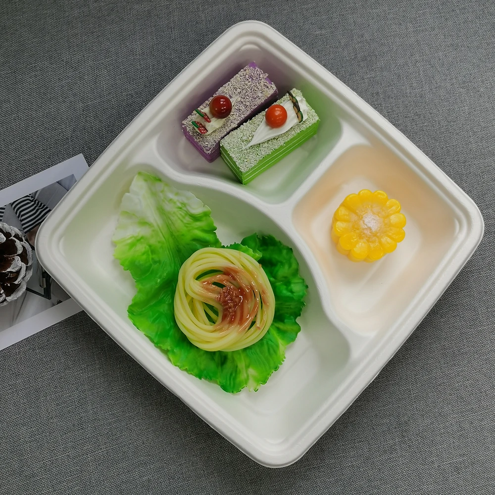 3 Compartment Clamshell 8 inch 9 inch Lunch Box Biodegradable Sugarcane Bagasse Tableware Lunchbox Food Containers