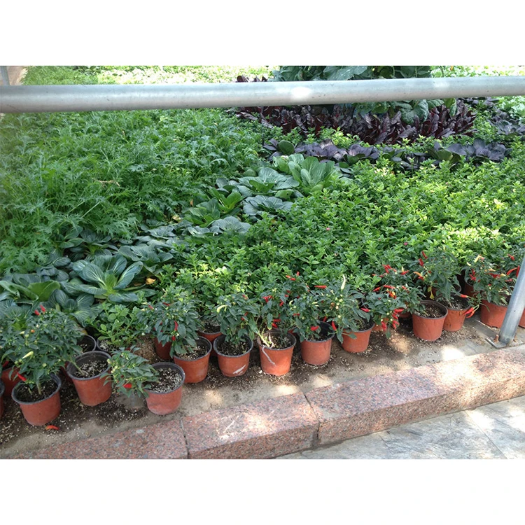 Hot Sale Reusable Durable Mini Small Plastic Plant Nursery Pots For Plants