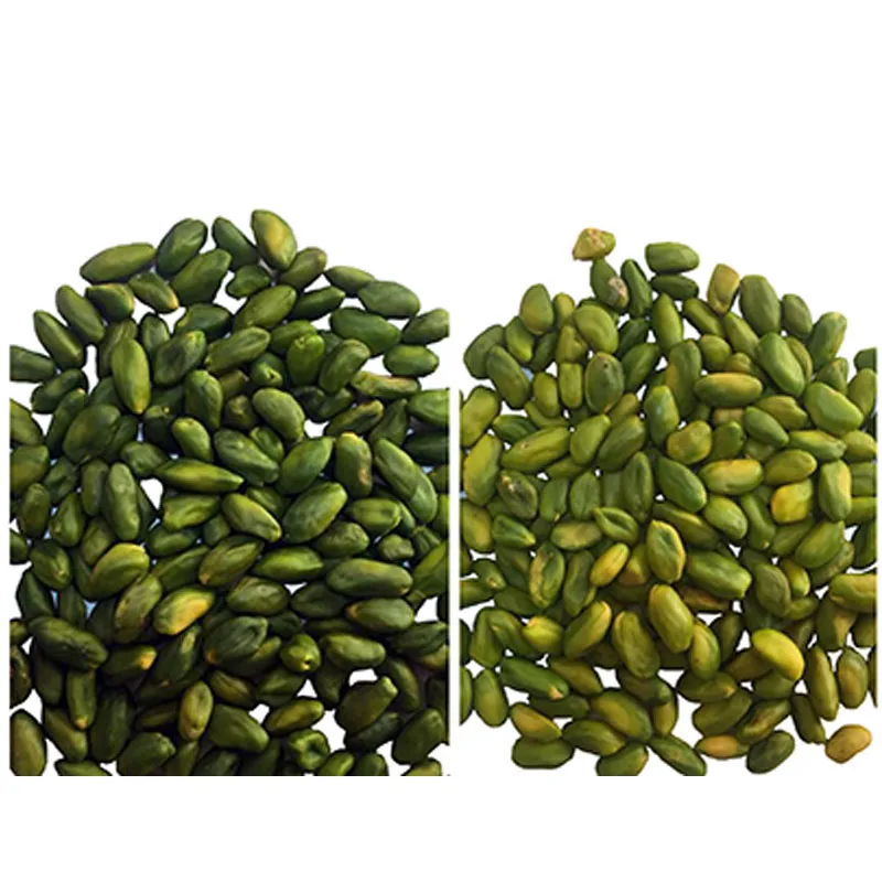 Wholesale high quality green peeled pistachio kernel healthy nut