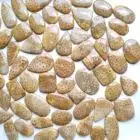 Natural Fossil Coral Loose Cabochon mix shape in all size Handmade Top Fossil Coral Cabochon Loose Gemstones Making For Jewelry