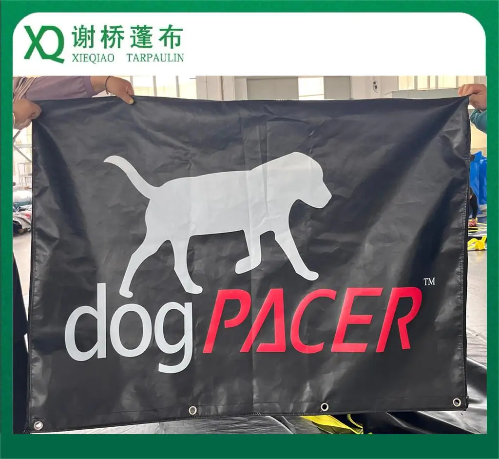 Xieqiao Brand Tricycle  Cover Customization by PVC Tarpaulin For Our Customer