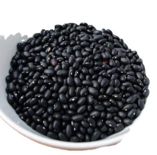 NEW BLACK BEANS ( FRESH GREEN INSIDE ) FROM VIETNAM