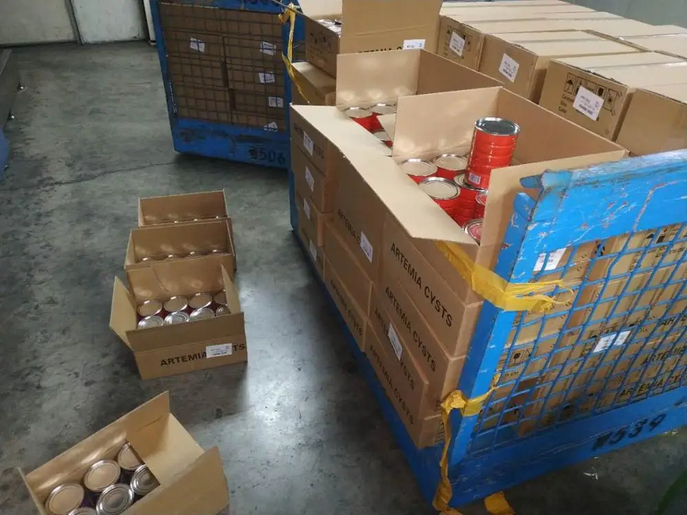 High hatching rate rtemia cysts