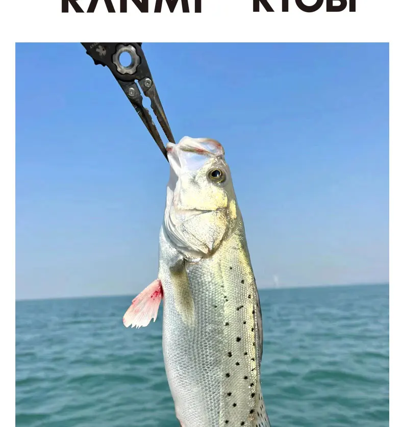 _18.jpg