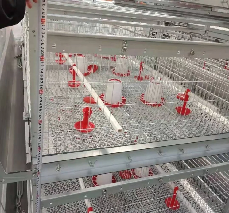 Farm Chicken Cage Wood Chicken Cage Coops Plastic Transport Chicken Cages