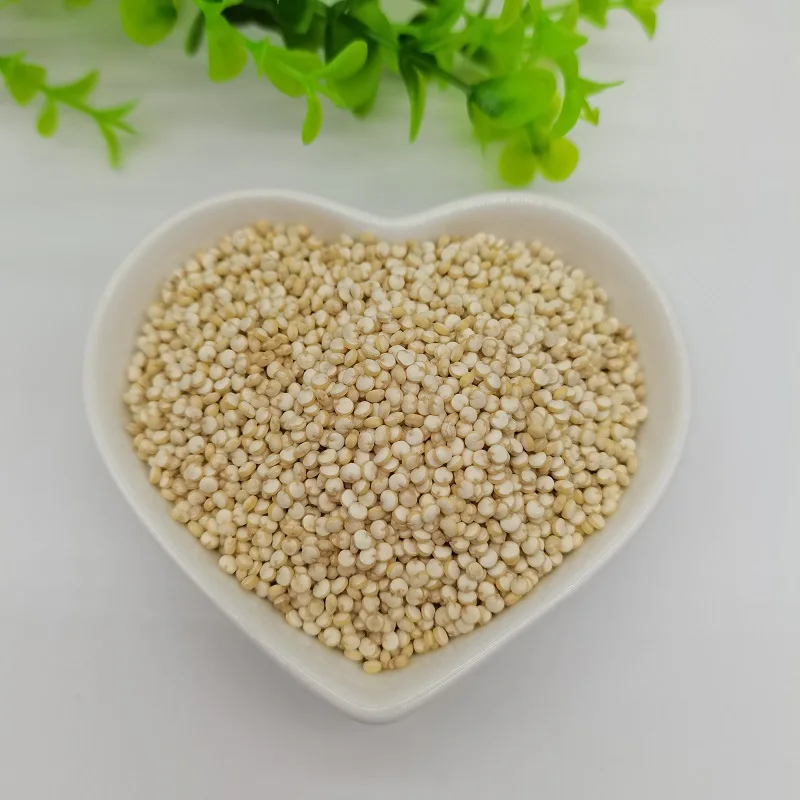 Factory Direct Sale Food-grade white Quinoa high quality competitive price quinoa seeds