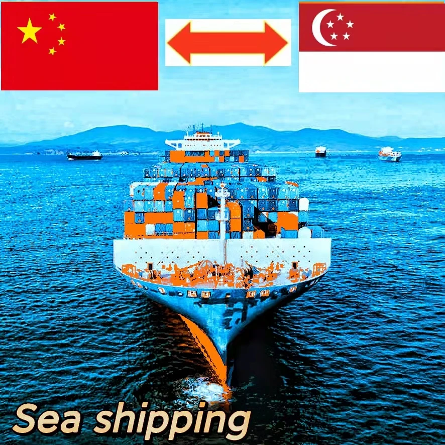 The cheapest shipping from China to Singapore, double customs clearance delivery to the door