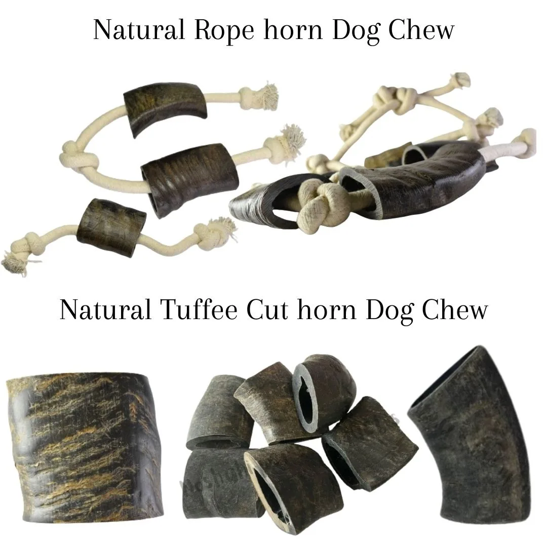 Water Buffalo Horn and Rope dog Chew Toy