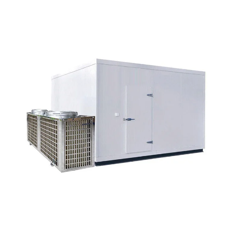 energy low temperature fish dryer seafood fruit vegetables and agriculture food