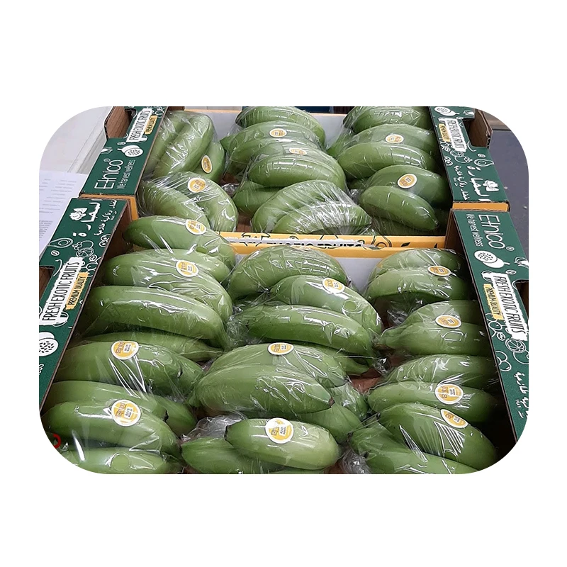 Fresh Corp Fruit Banana Bocadillo Best Fresh Wholesale Baby Banana On Selling