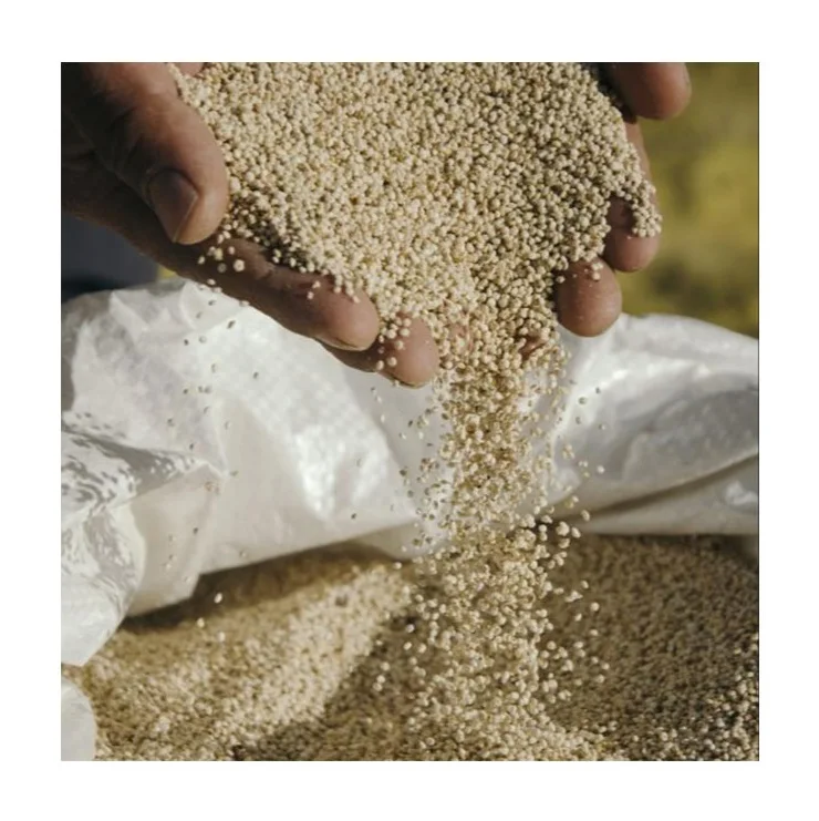
QUINOA Bags Origin Type Variety Size Grade MIN Fresh Broken Place Model 