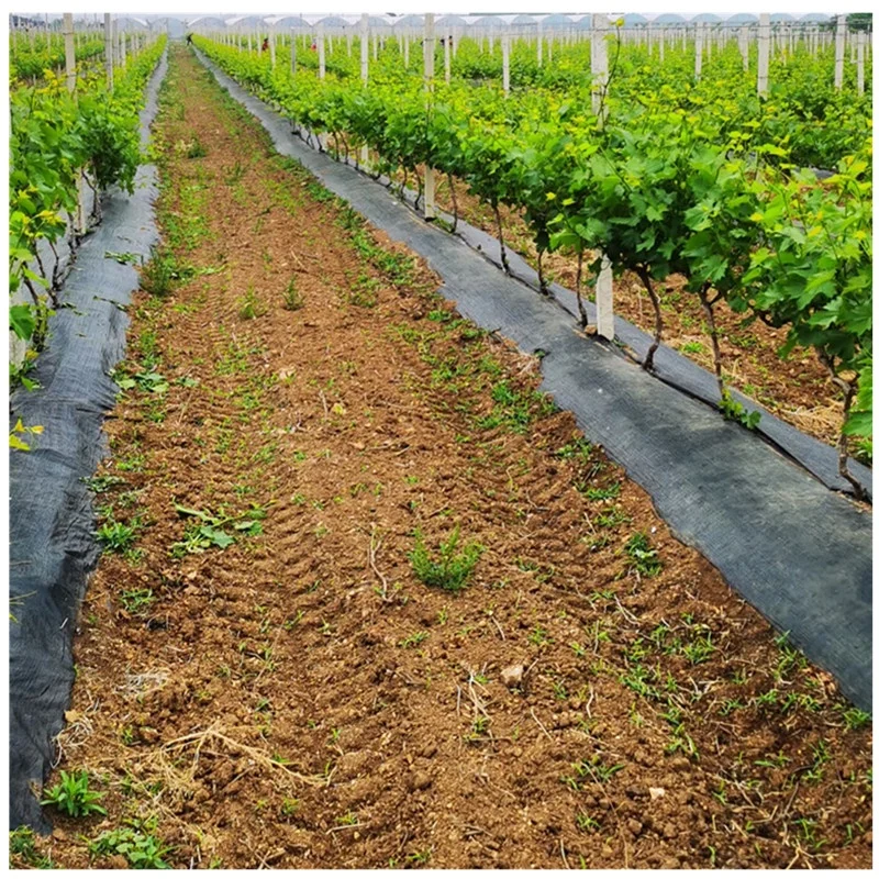 China factory Wholesale High Quality Weed Barrier Landscape Fabric Landscape Fabric Ground Cover Weed Barrier